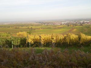 Ausflug in der Pfalz Ausflug in der Pfalz