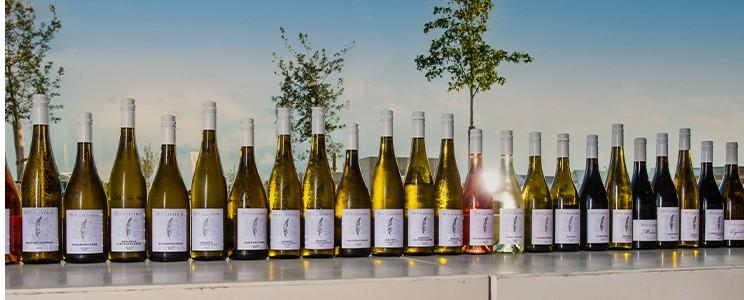 Weinprobe/Wine Tasting beim TCL